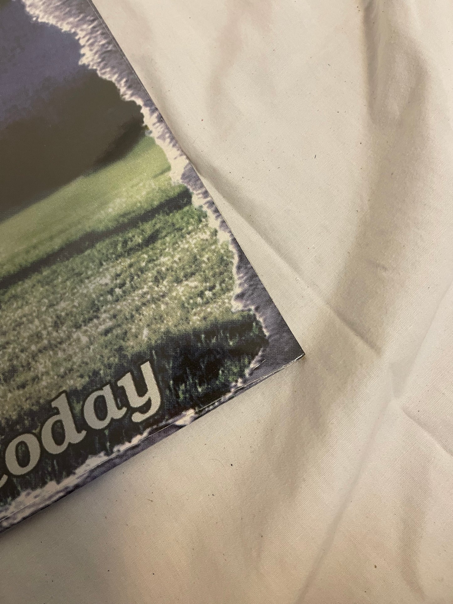 Grey Daze - …No Sun Today (webstore purple swirl vinyl)