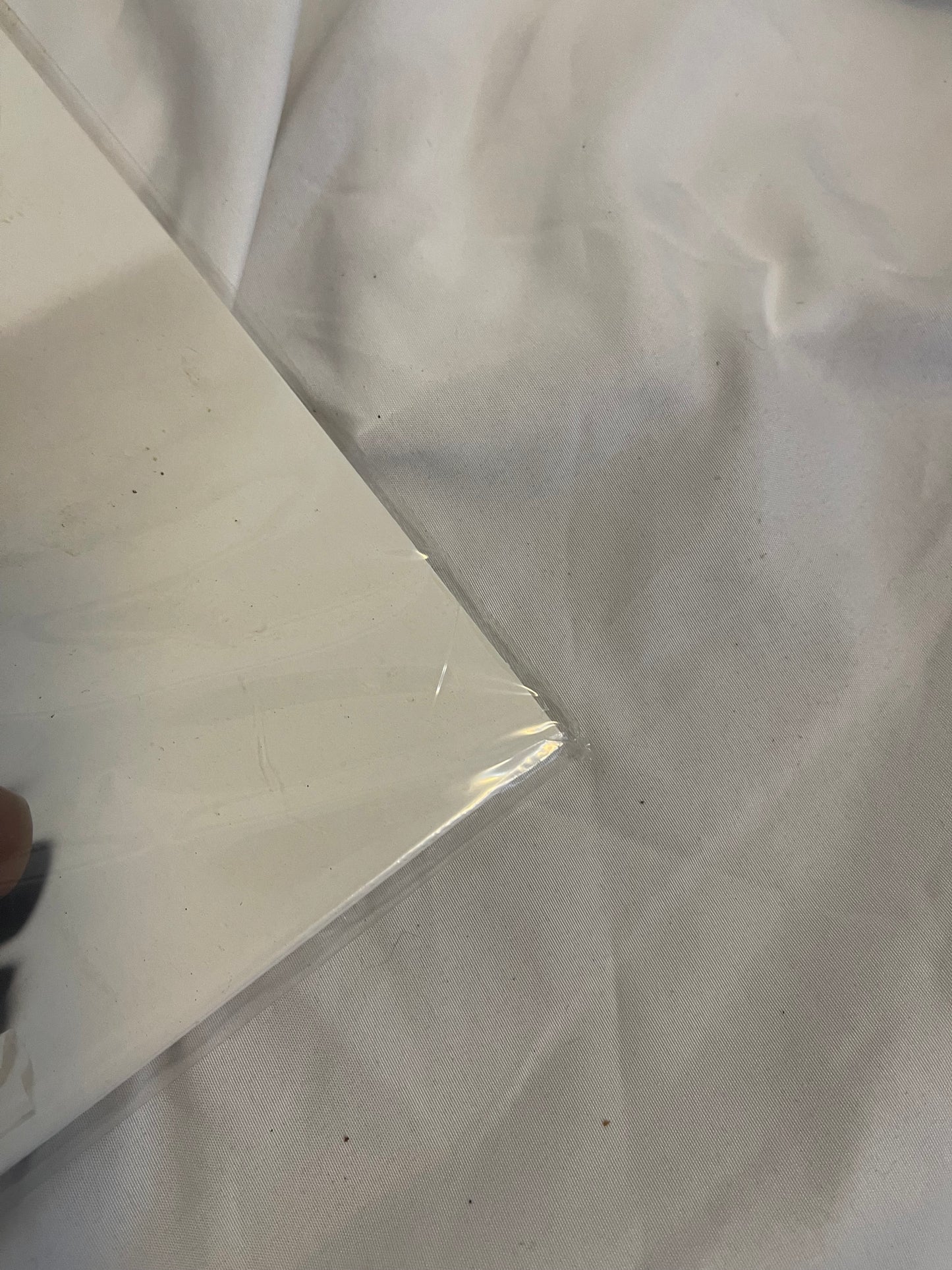 Poppy - Zig (Exclusive black inside transparent purple with heavy black splatter vinyl)