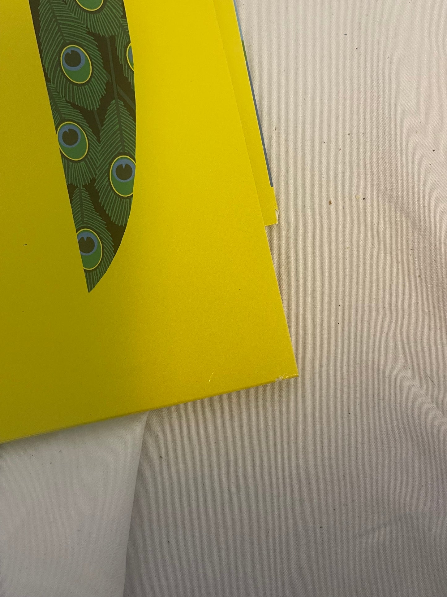 fun. - Aim And Ignite (Newbury Comics exclusive clear with opaque yellow and neon green twist vinyl)