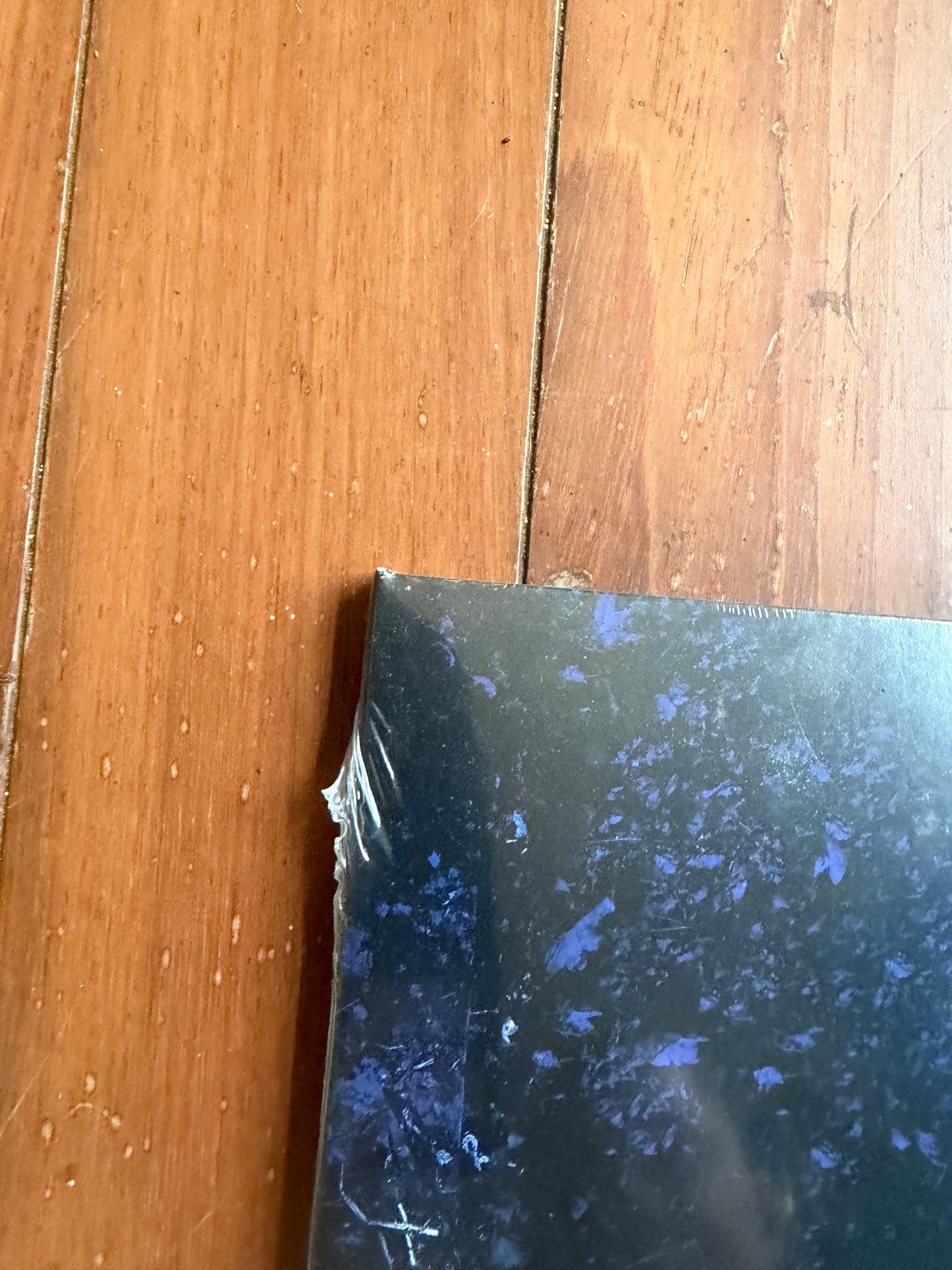 The Pretty Reckless - Death By Rock And Roll (indie exclusive silver vinyl)