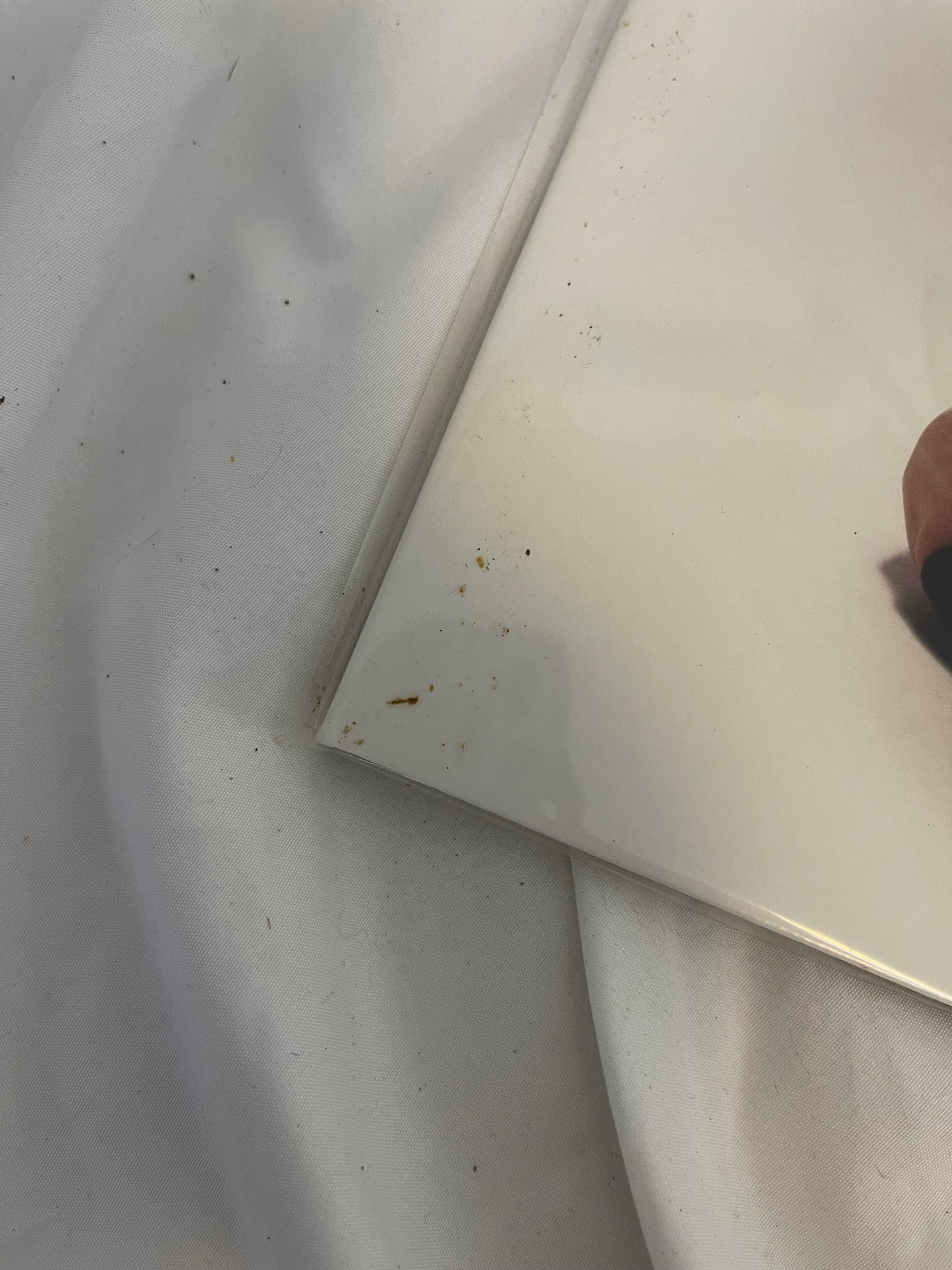 Poppy - Zig (Exclusive black inside transparent purple with heavy black splatter vinyl)