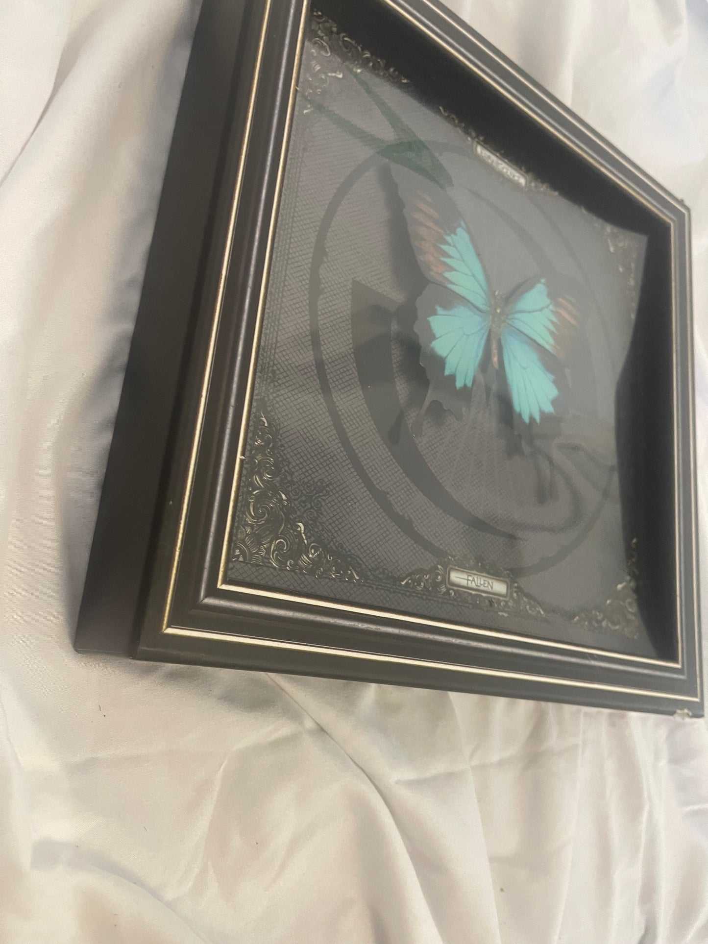 Evanescence - Fallen (webstore exclusive 20th anniversary vinyl/cassette box set)