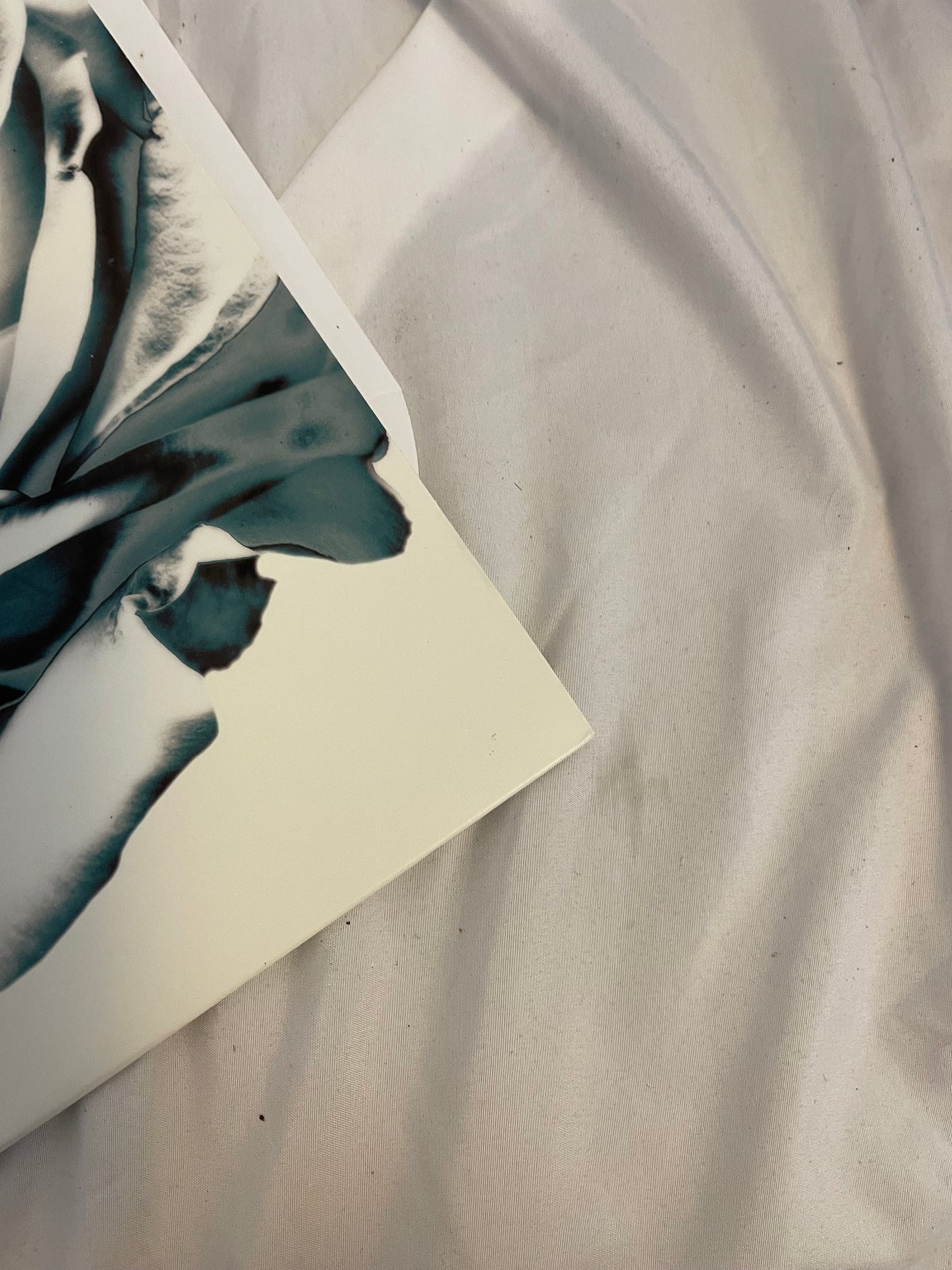 Grey Daze - Amends… Stripped (revolver exclusive clear vinyl)