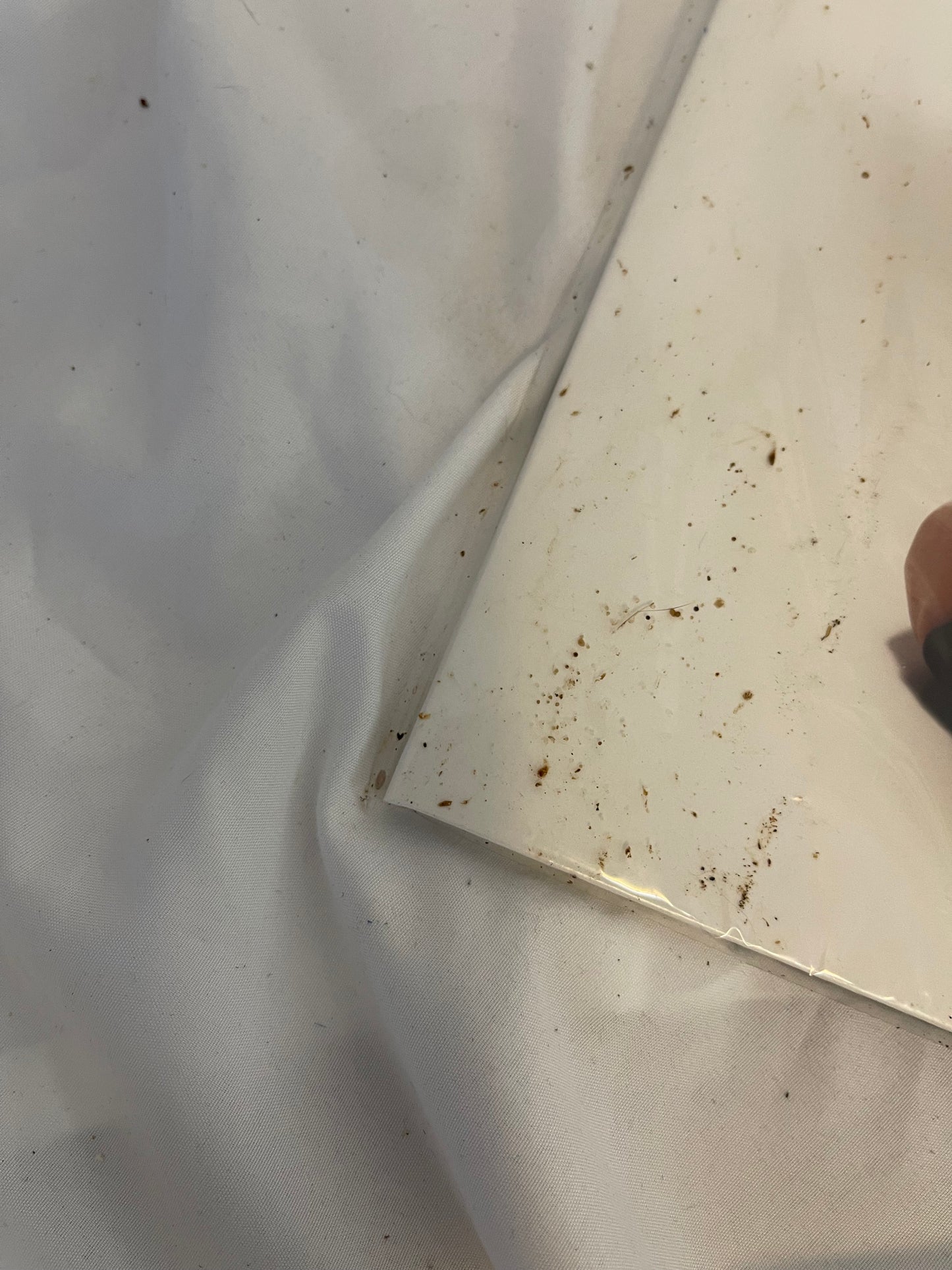 Poppy - Zig (Sumerian exclusive ultra clear/white split with purple splatter vinyl)