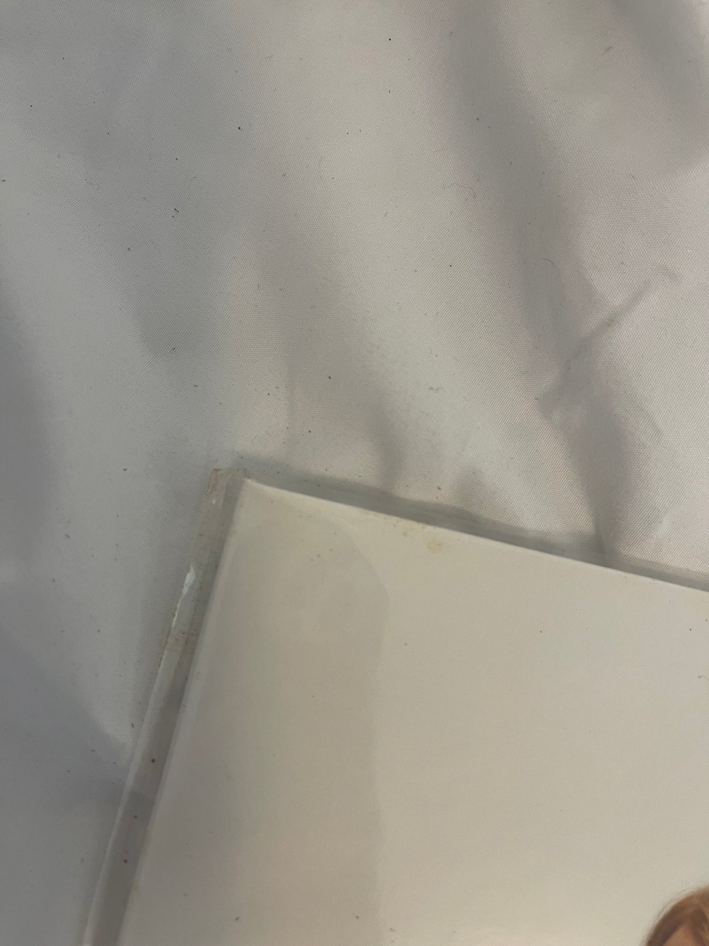 Poppy - Zig (Exclusive black inside transparent purple with heavy black splatter vinyl)