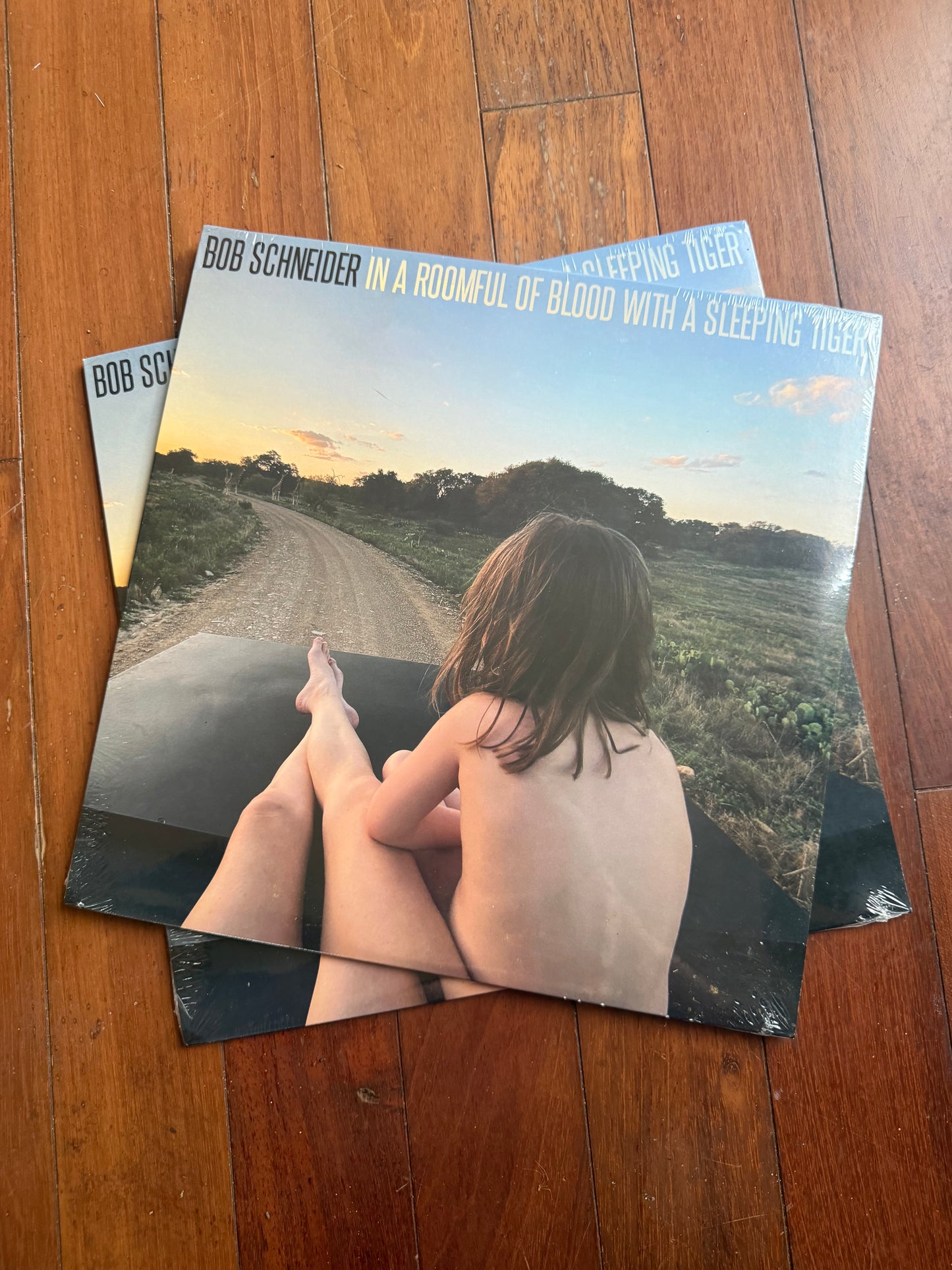 Bob Schneider - In A Roomful Of Blood With A Sleeping Tiger (exclusive butterbean white vinyl)