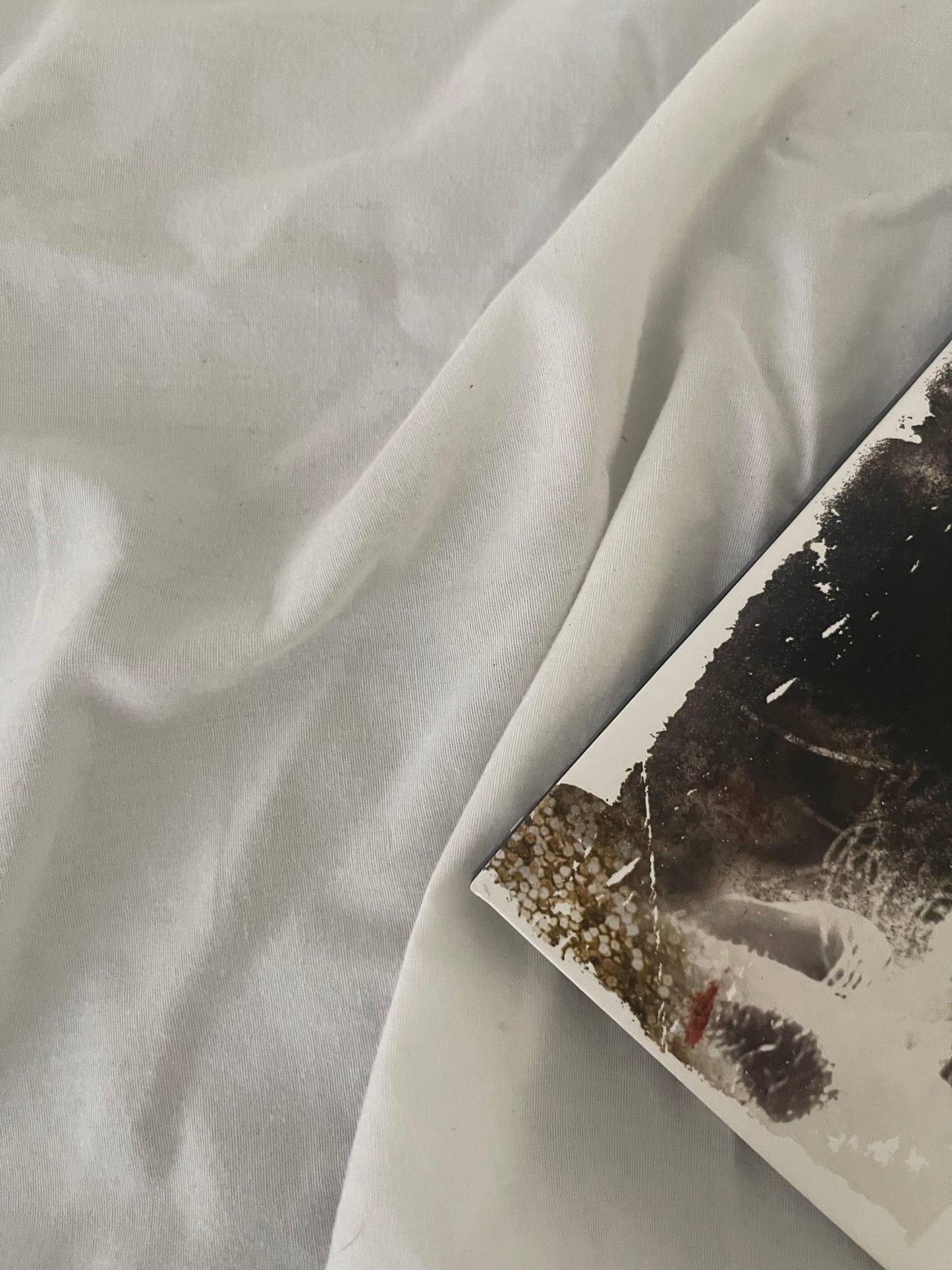 Kesha - Animal (Webstore exclusive clear with gold and black swirl vinyl)