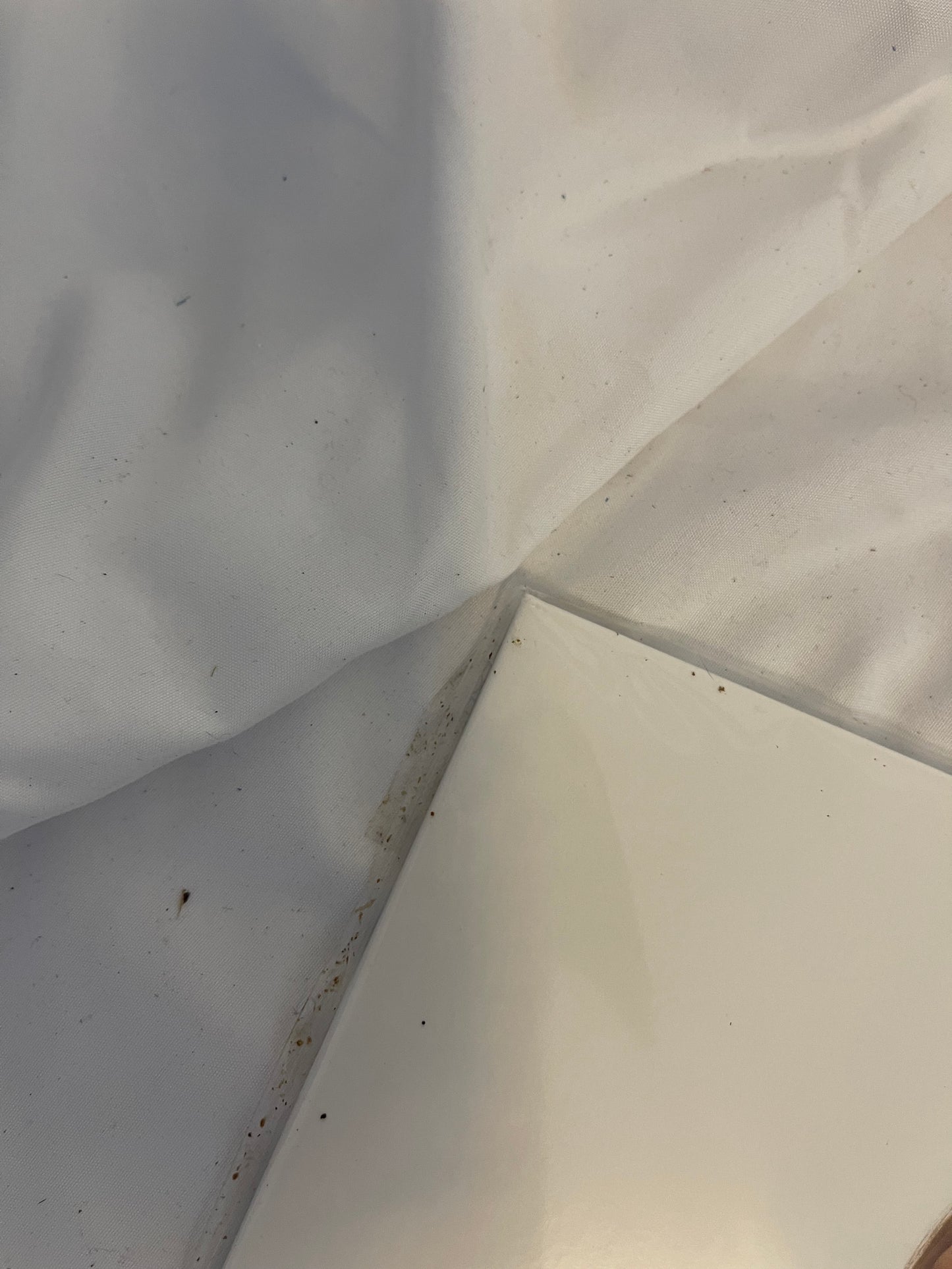 Poppy - Zig (Sumerian exclusive purple and mint green with heavy black splatter)