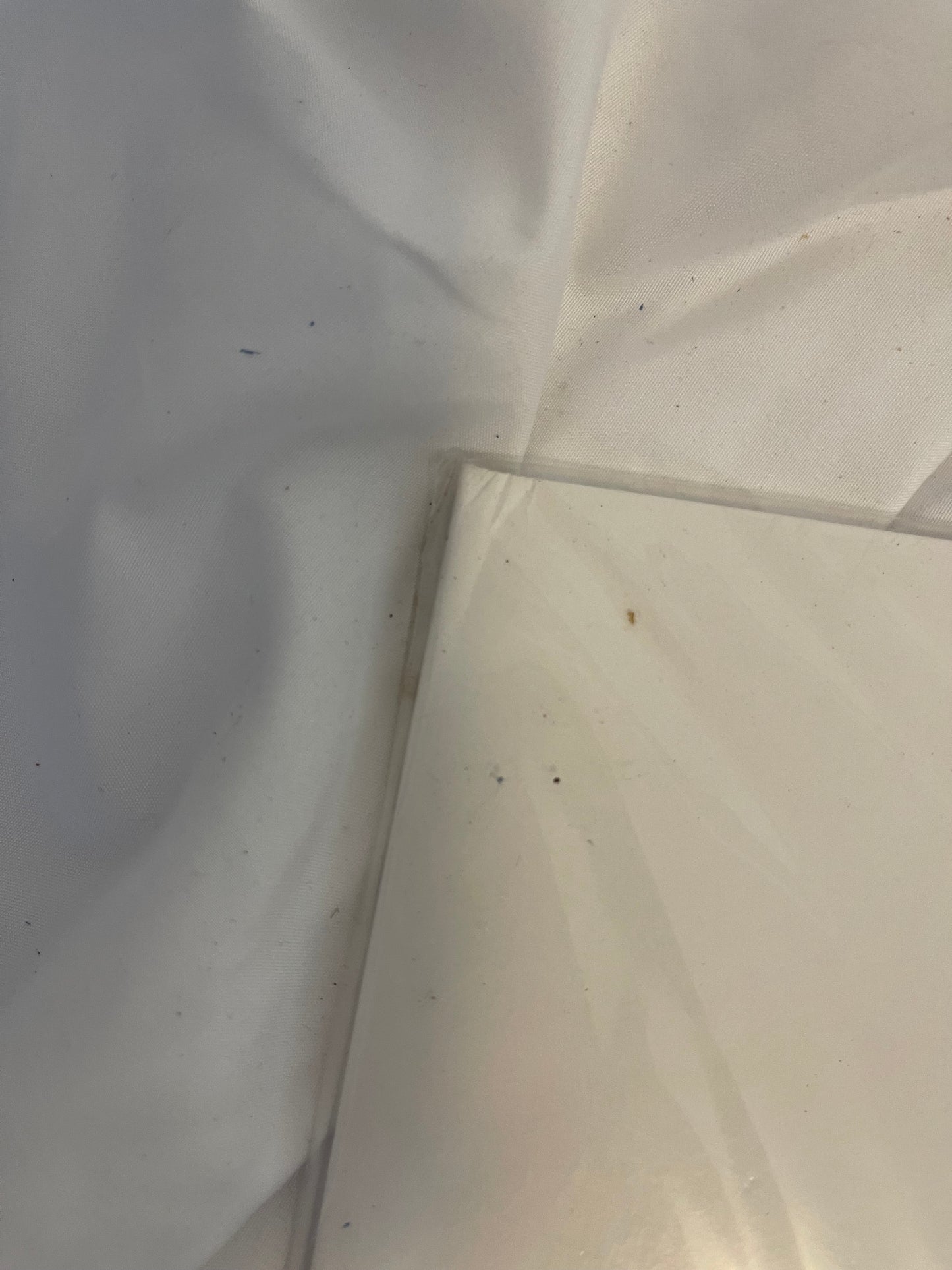 Poppy - Zig (Newbury comics exclusive mint green and white blended vinyl)