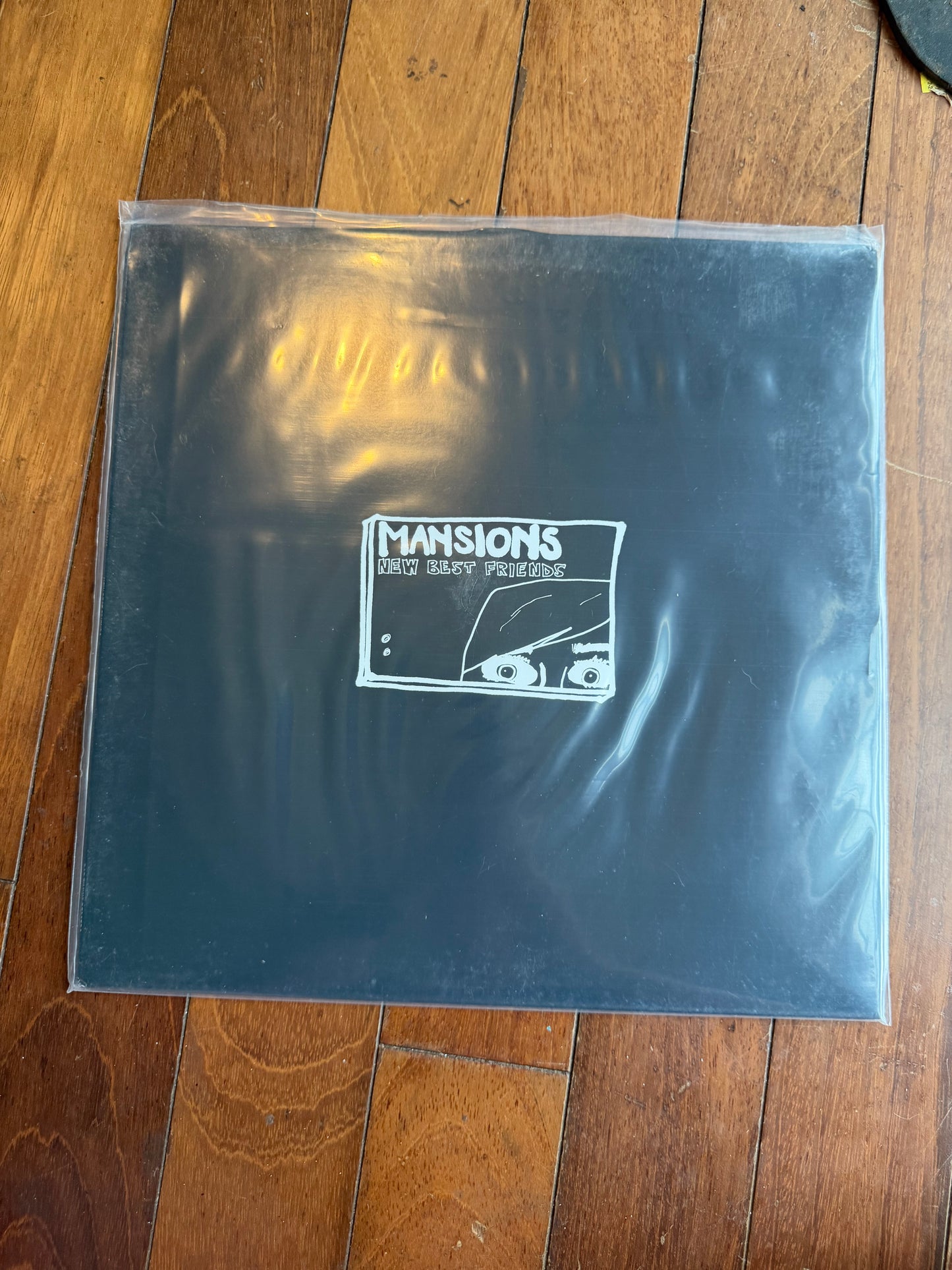 Mansions - New Best Friends (exclusive cloudy clear vinyl)