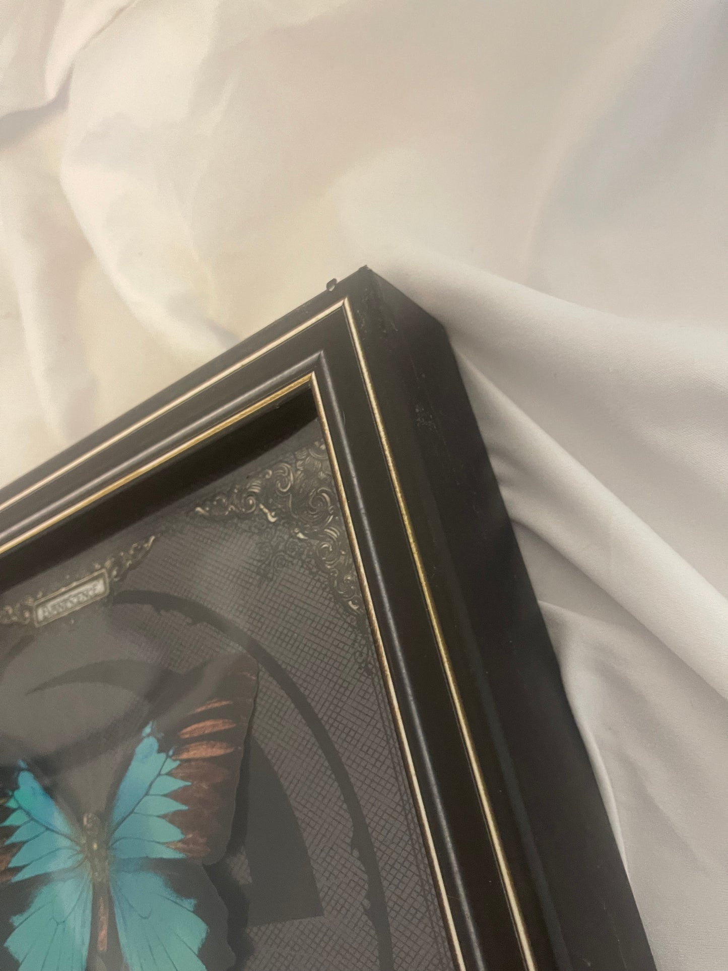Evanescence - Fallen (webstore exclusive 20th anniversary vinyl/cassette box set)
