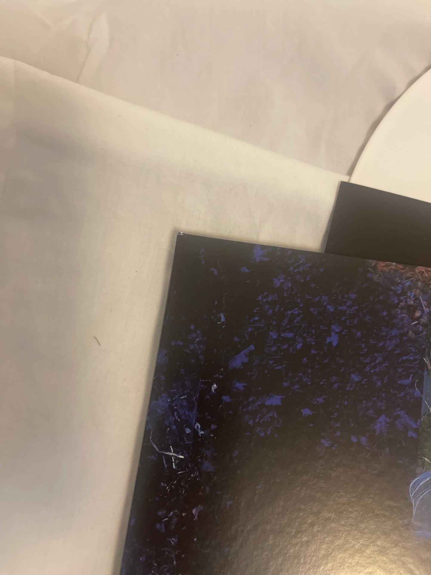 The Pretty Reckless - Death by Rock and Roll (webstore exclusive white vinyl)