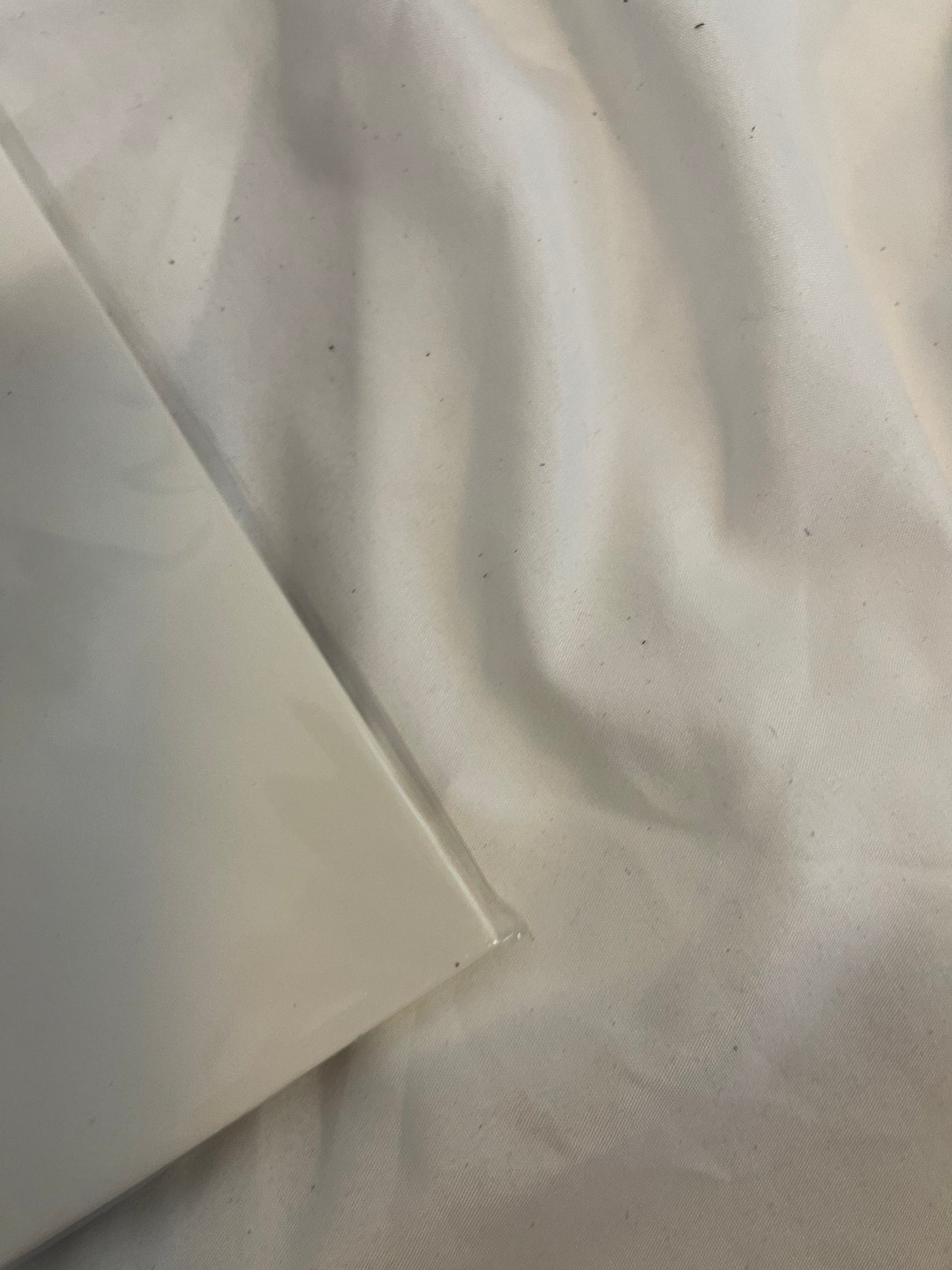 Poppy - Zig (Exclusive black inside transparent purple with heavy black splatter vinyl)