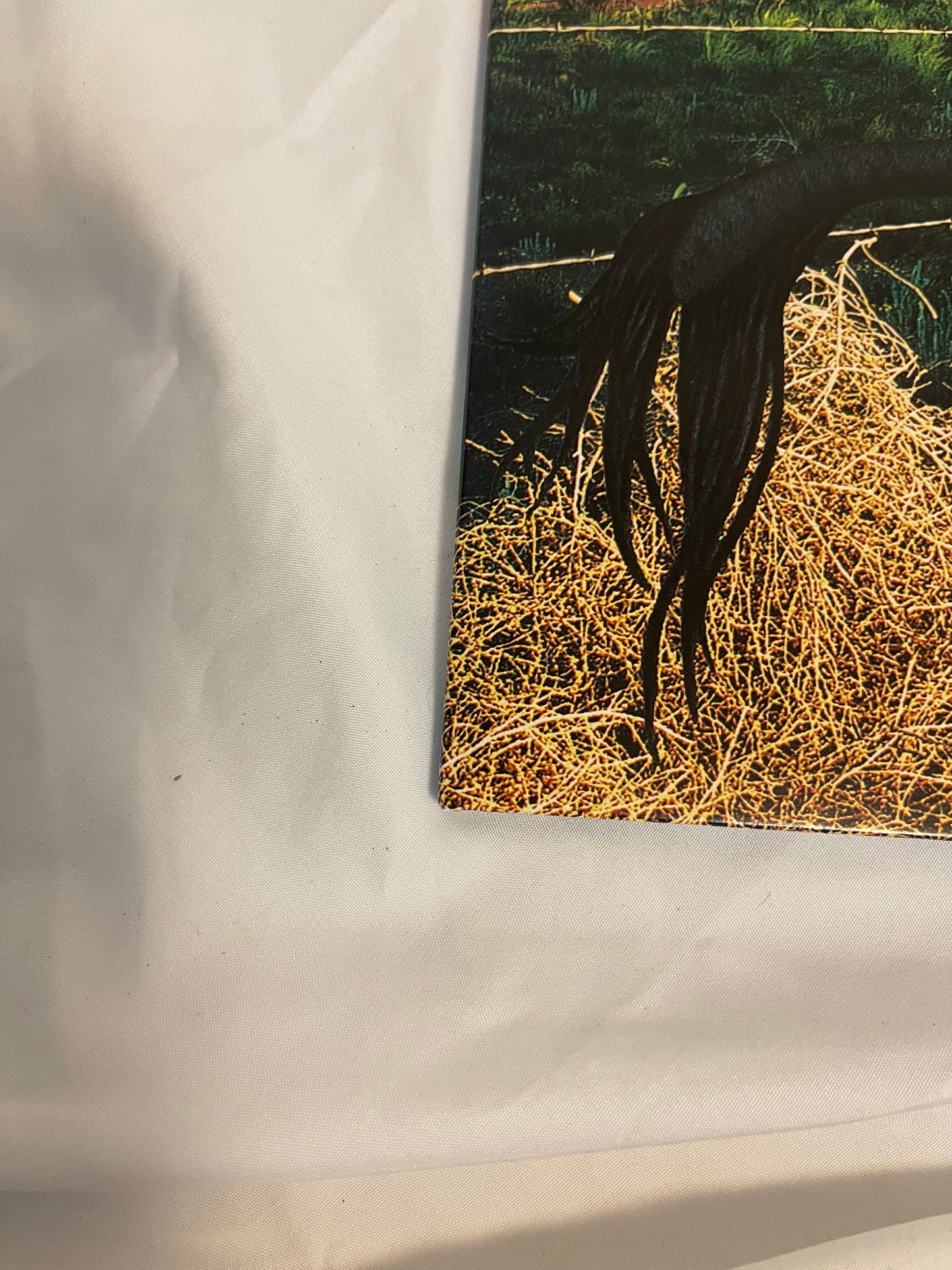 Blink 182 - Dude Ranch (limited edition translucent blue vinyl)