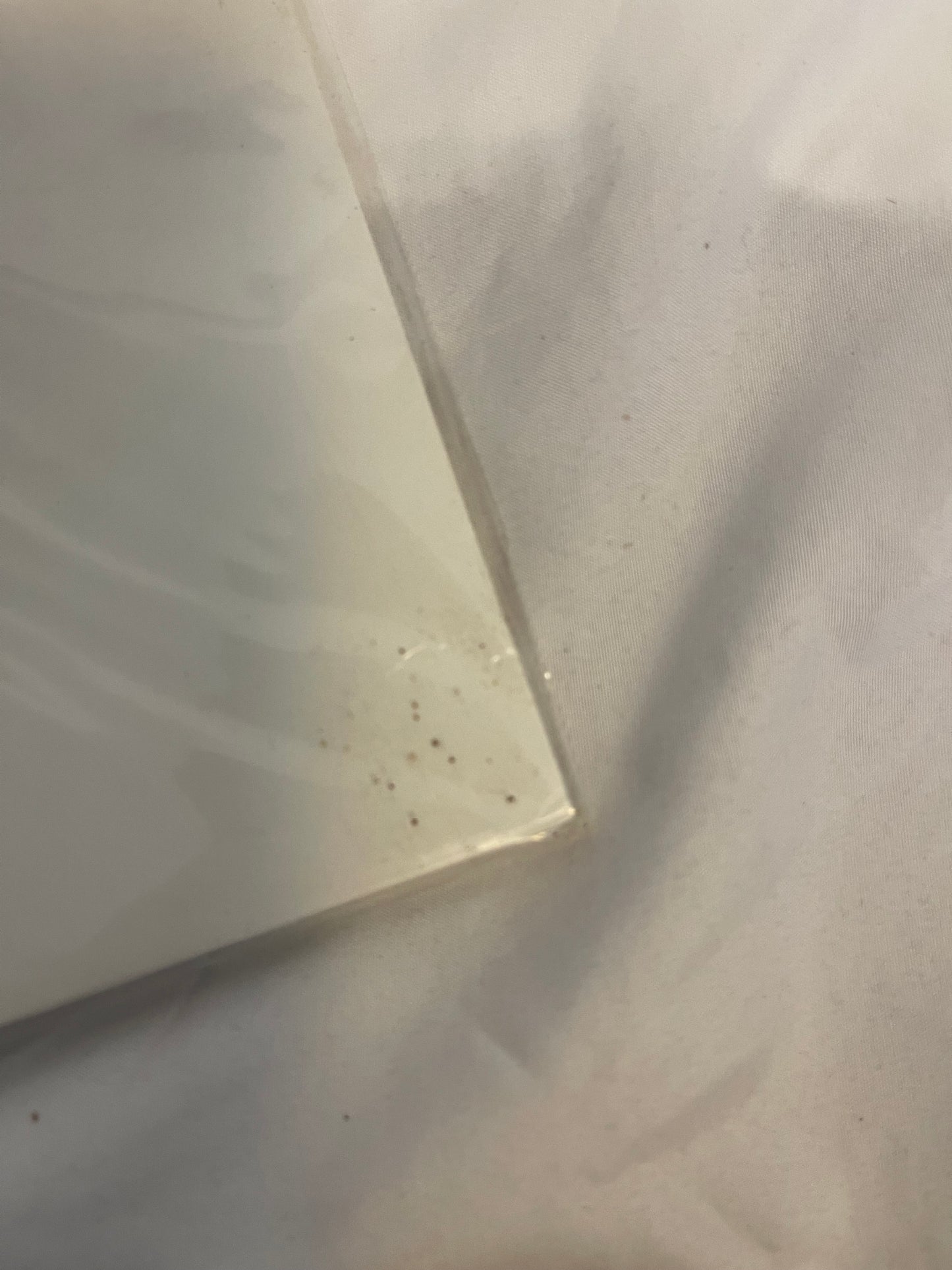 Poppy - Zig (Newbury comics exclusive mint green and white blended vinyl)