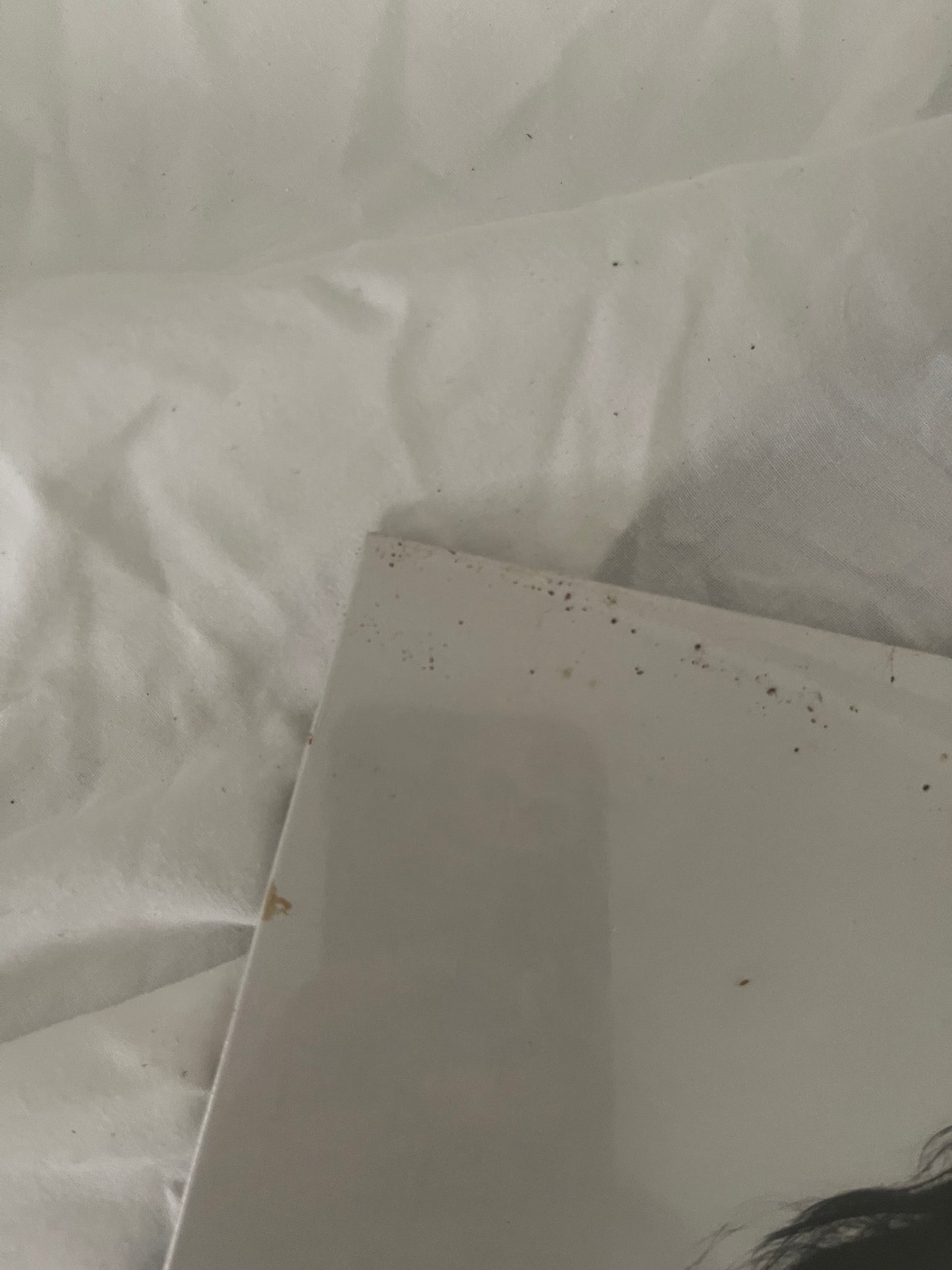 Poppy - Stagger (white/black/silver swirl revolver exclusive vinyl)