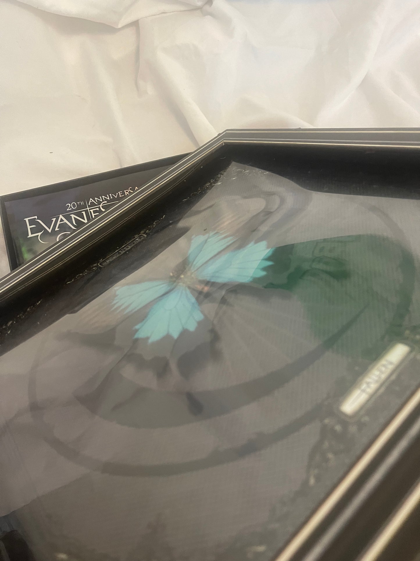 Evanescence - Fallen (webstore exclusive 20th anniversary vinyl/cassette box set)