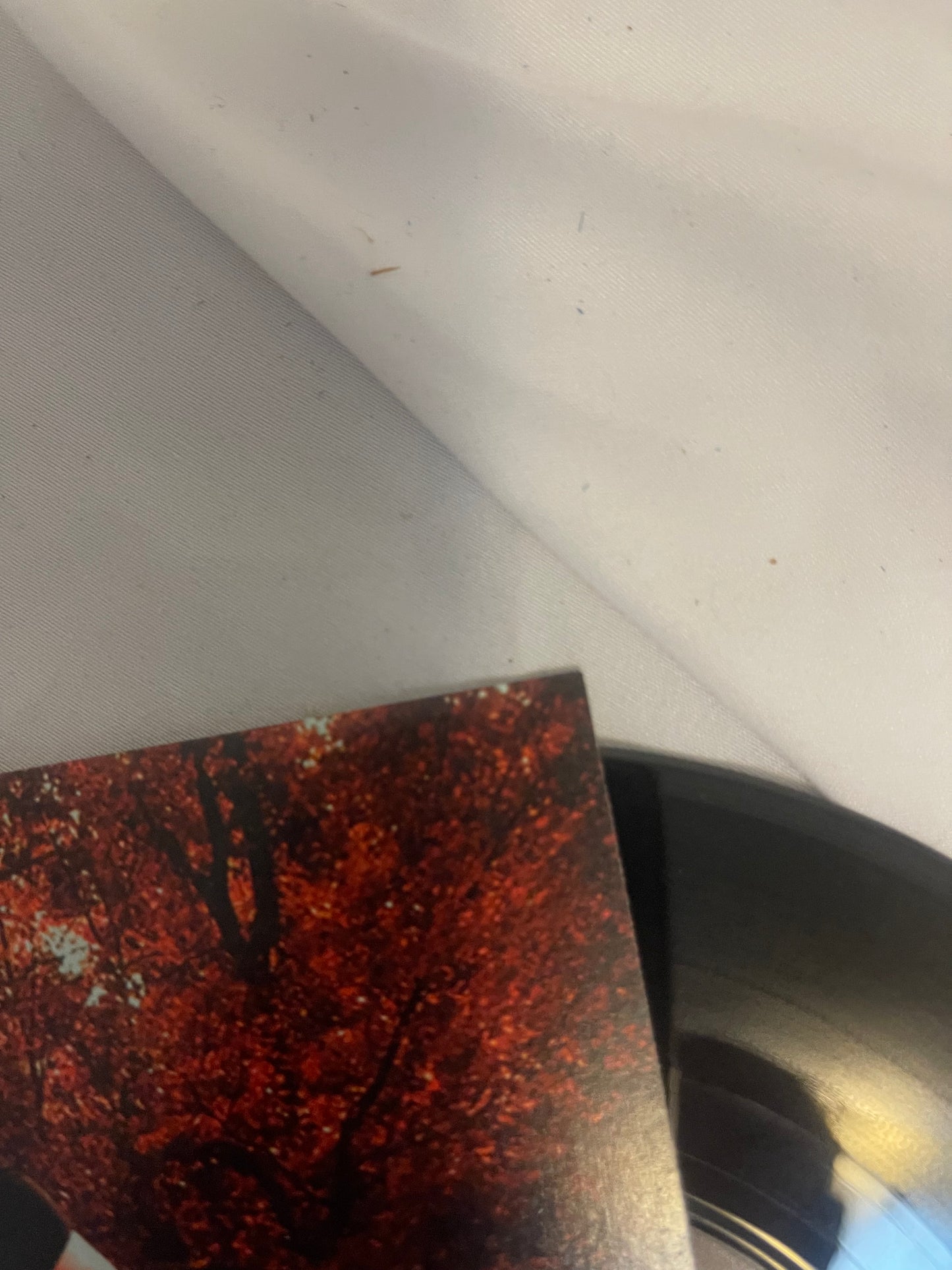 The White Stripes - The Denial Twist (exclusive 7” vinyl)