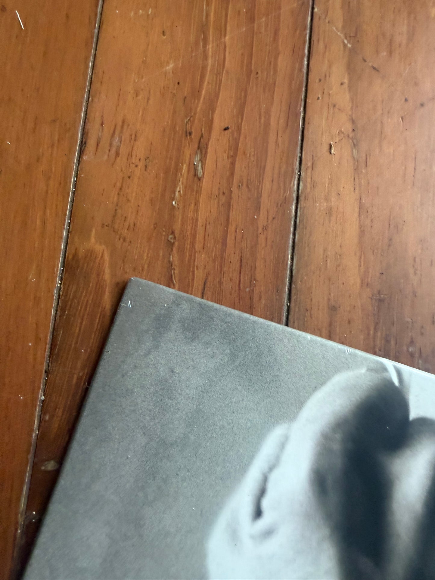Grey Daze - The Phoenix (Revolver exclusive blue smoke vinyl)