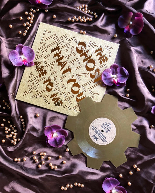 fun. - The Ghost That You Are To Me (record store day exclusive gear shaped vinyl)