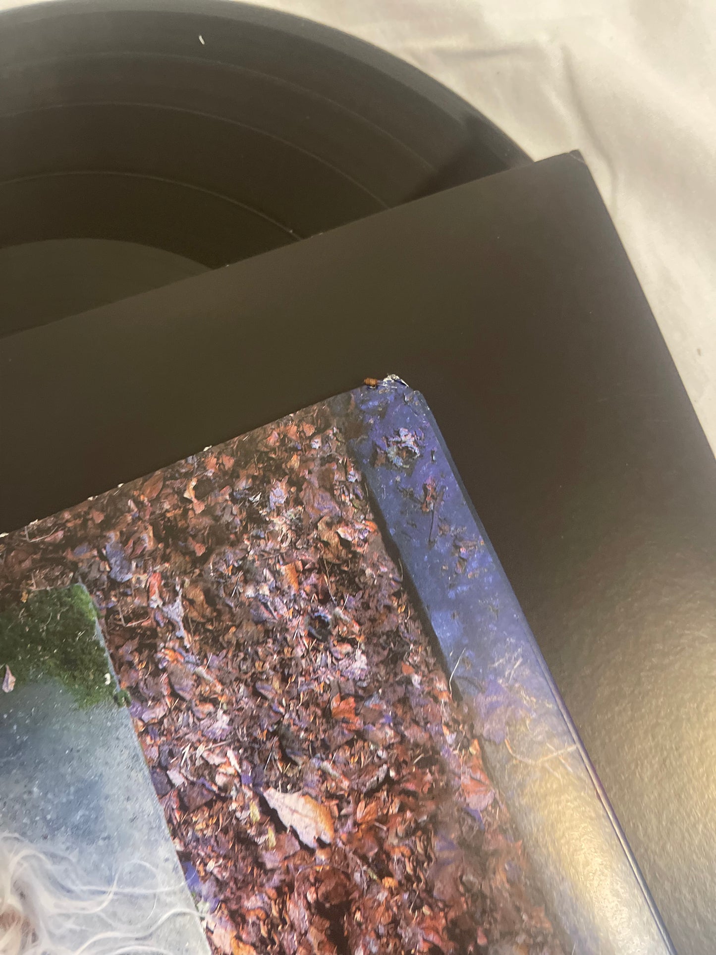 The Pretty Reckless - Death by Rock and Roll (exclusive black ice vinyl)