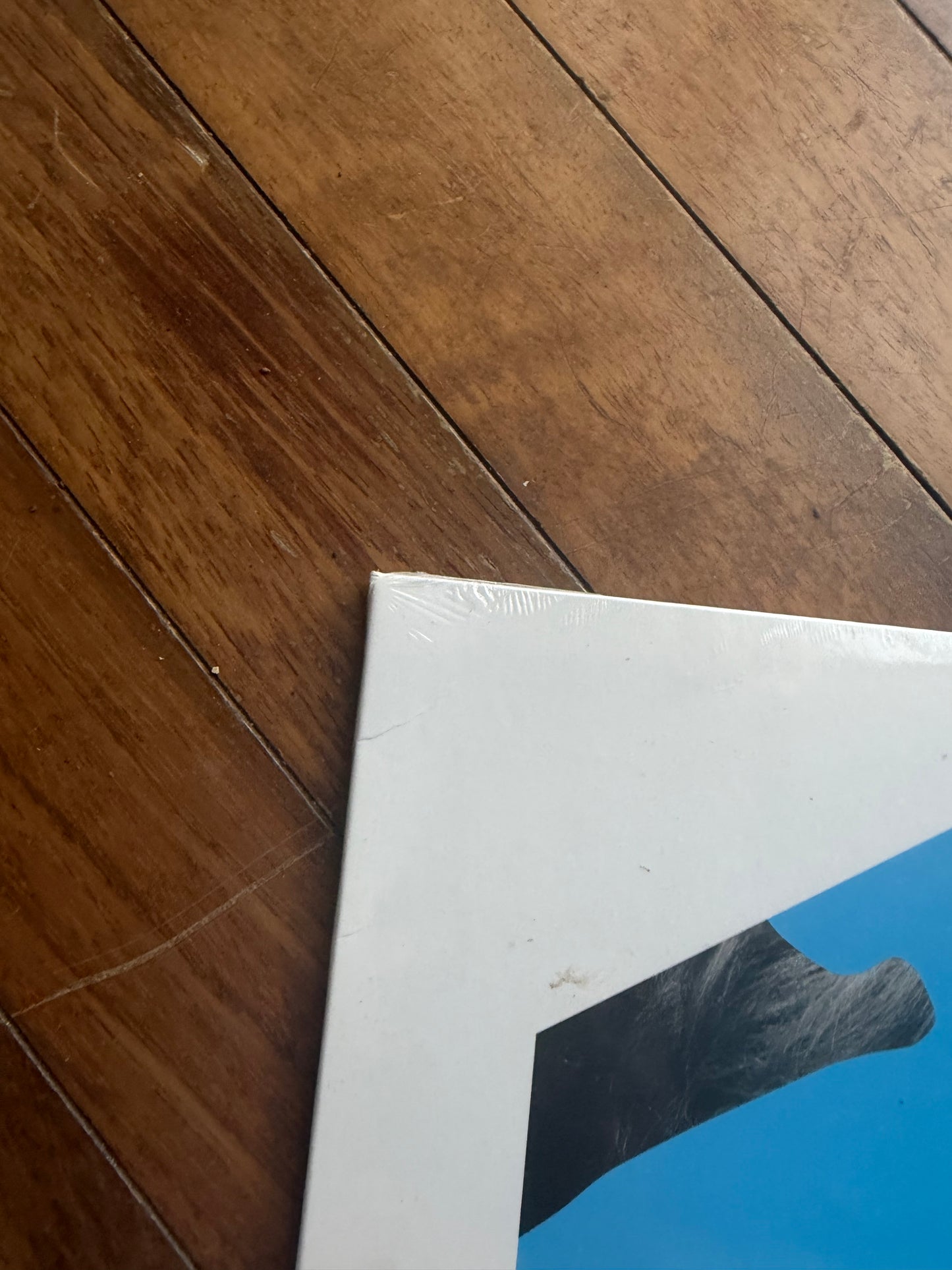 Beck - Colors (white vinyl)