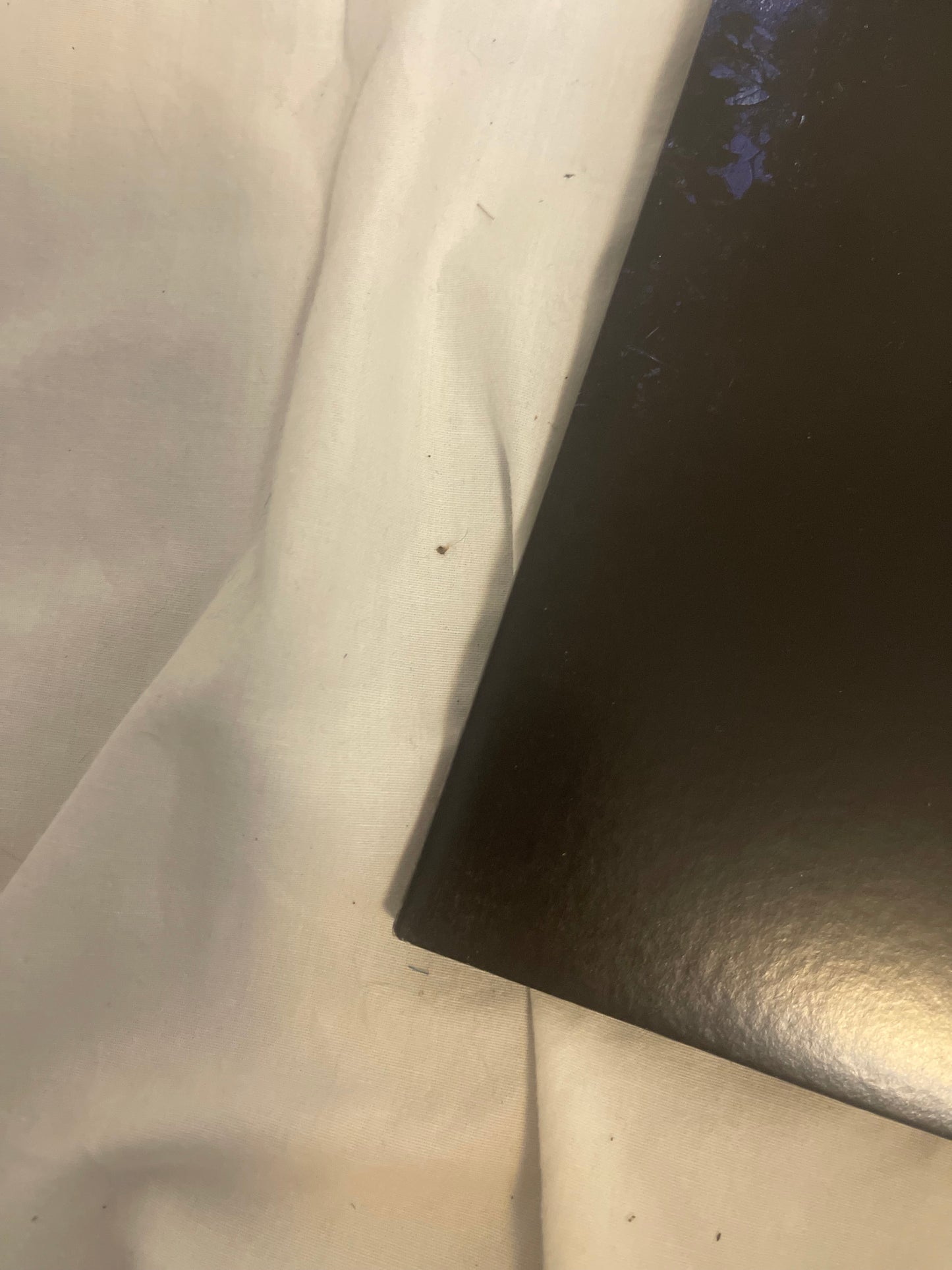 The Pretty Reckless - Death by Rock and Roll (exclusive black ice vinyl)