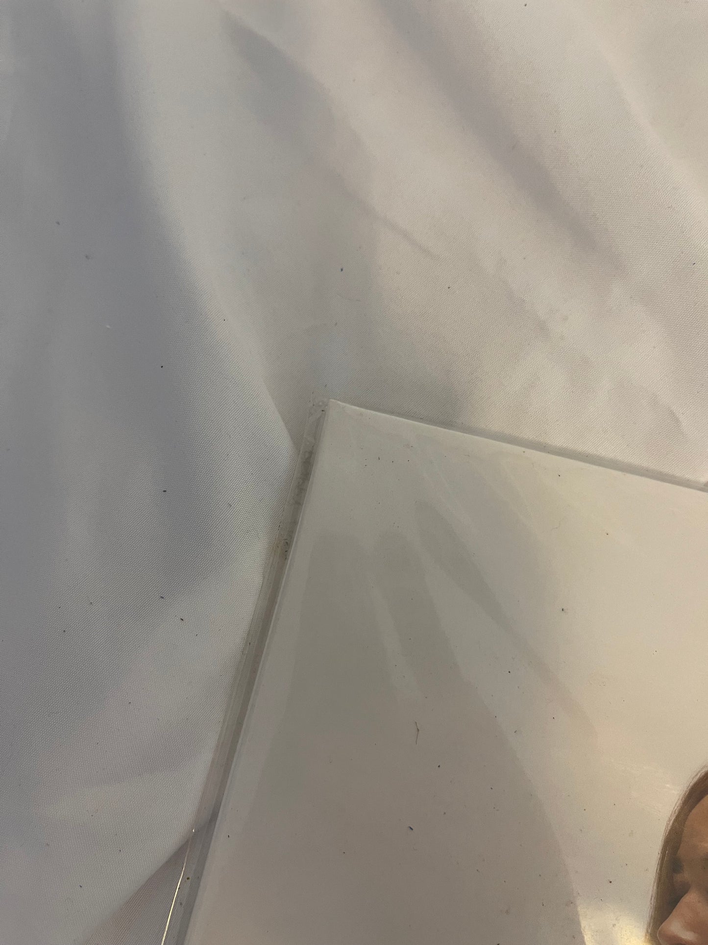 Poppy - Zig (Exclusive black inside transparent purple with heavy black splatter vinyl)