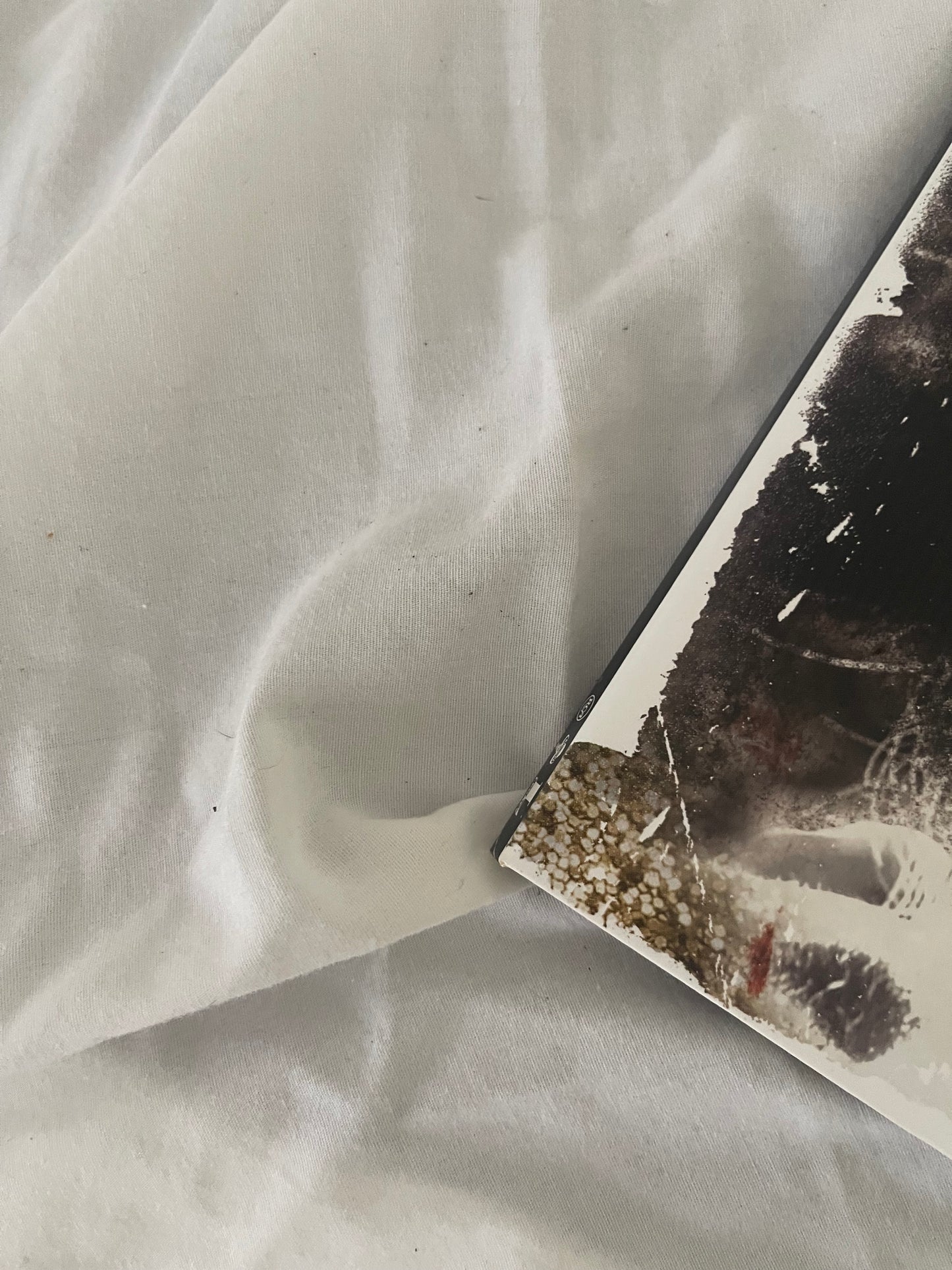 Kesha - Animal (Urban Outfitters exclusive purple marble vinyl)