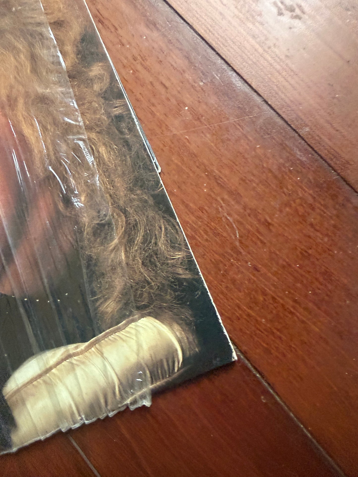 Cheap Trick - Woke Up With A Monster (Rhino Start Your Ear Off Right standard black vinyl)