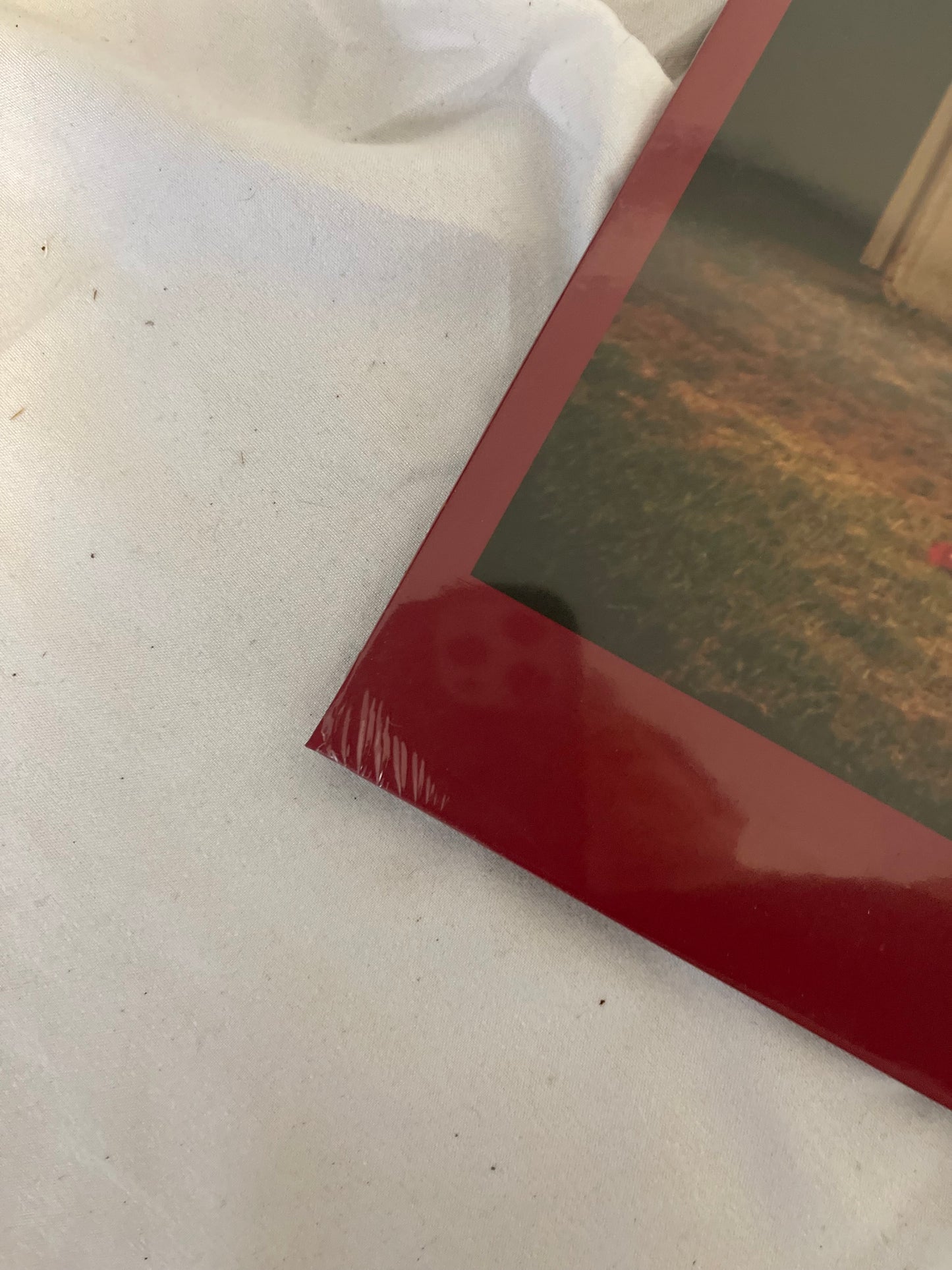 Aly & Aj - Ten Years (webstore exclusive gold vinyl)