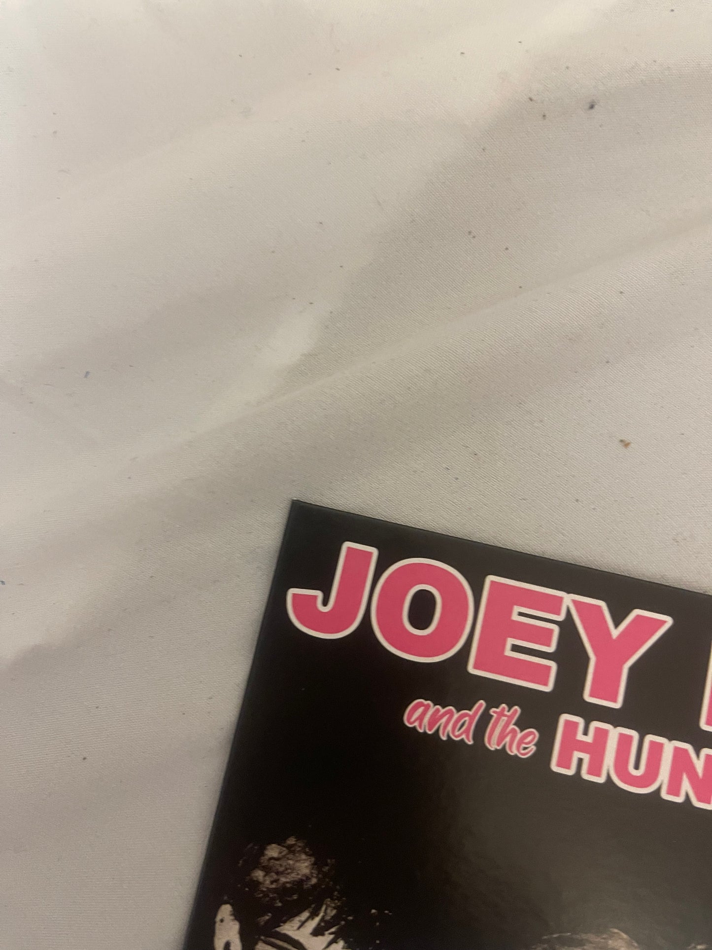 Joey Ramone and the Huntingtons - Live At CBGB’s (exclusive pink vinyl)