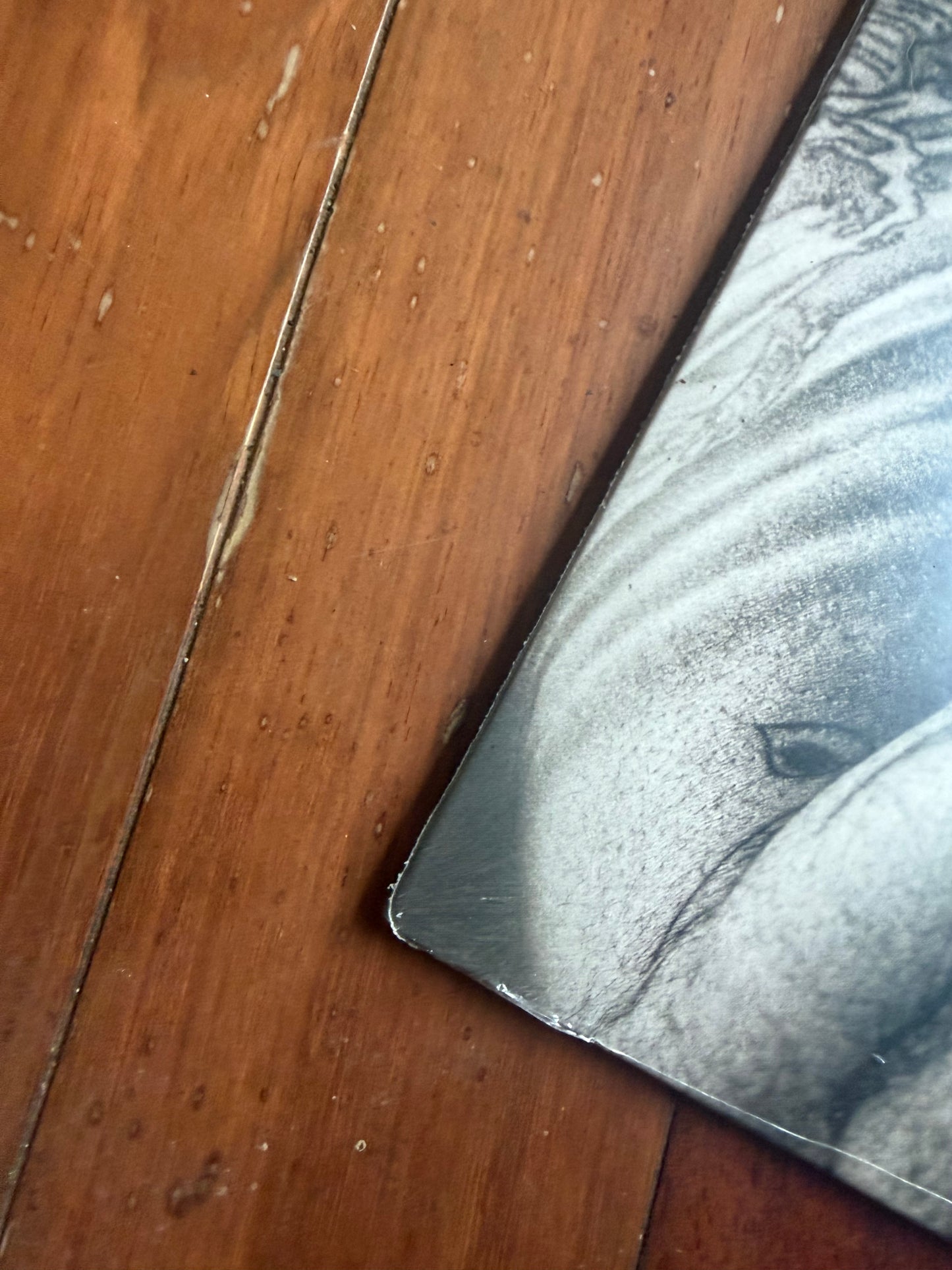 Grey Daze - The Phoenix (Revolver exclusive blue smoke vinyl)