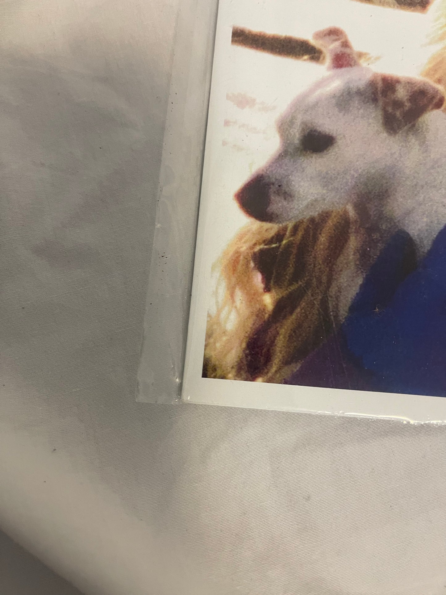 Taylor Swift - Christmas Tree Farm (Custom Sleeve ONLY)