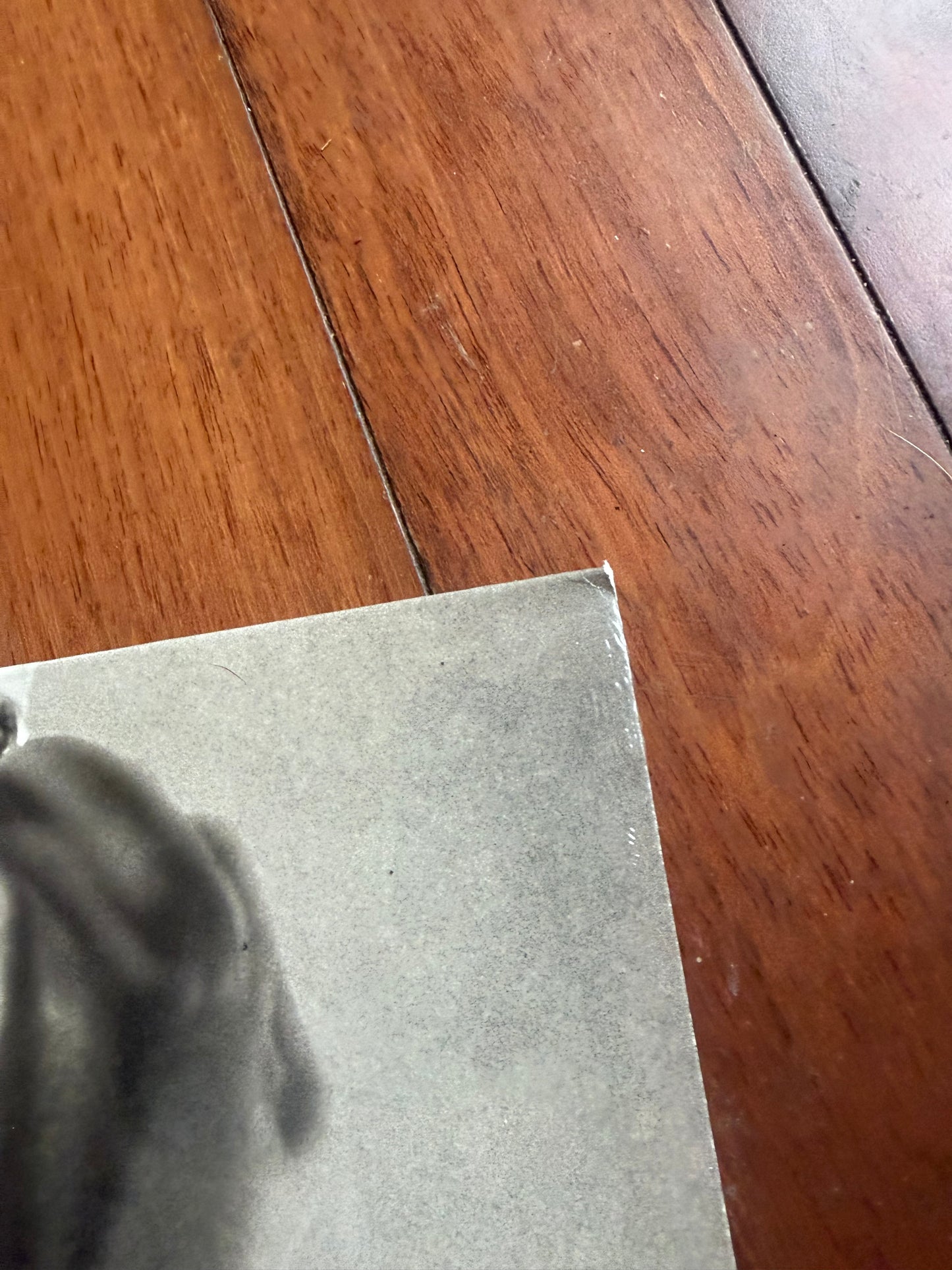Grey Daze - The Phoenix (Revolver exclusive blue smoke vinyl)