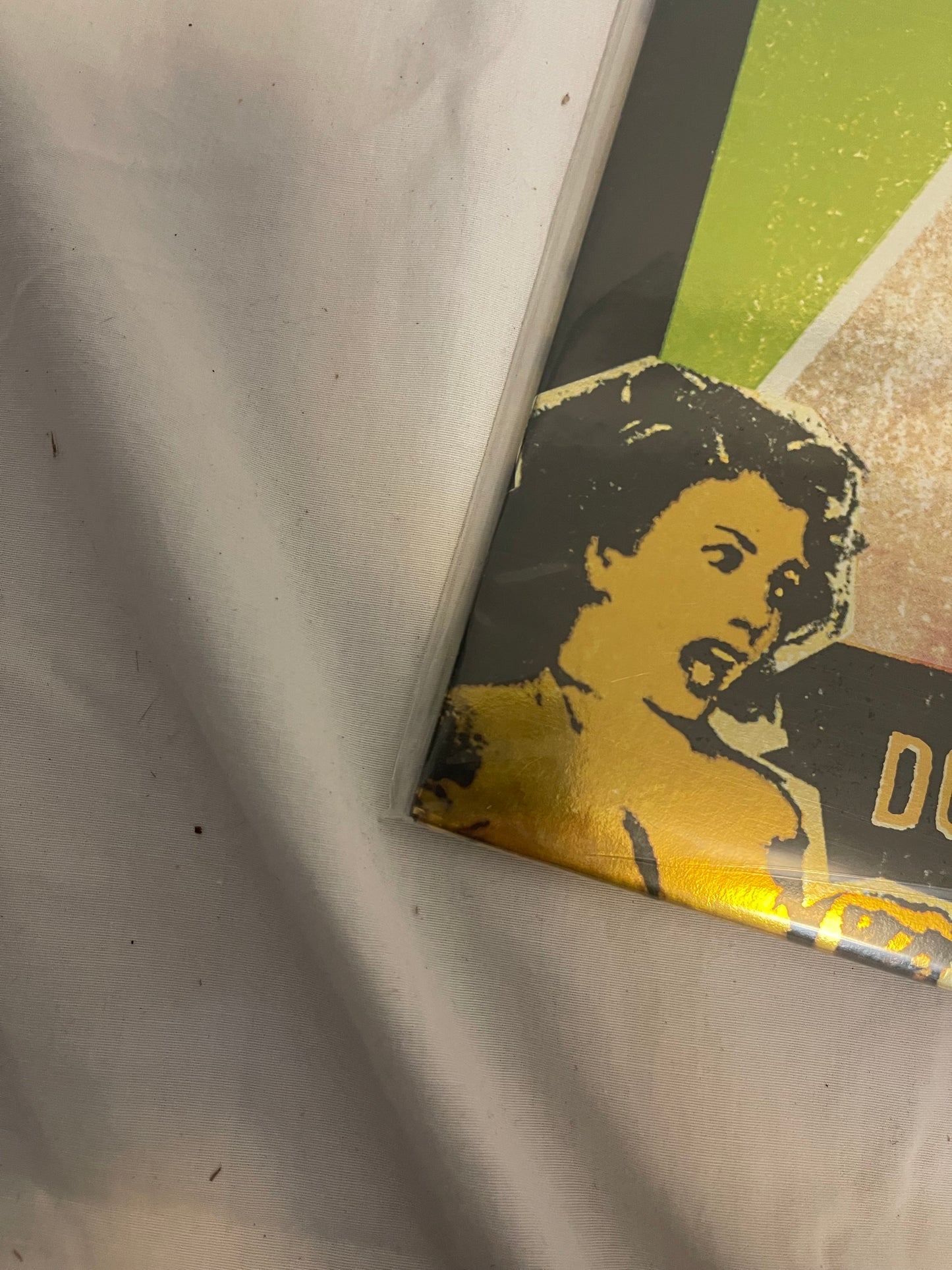 Sum 41 - Does This Look Infected? (Record Store Day Black Friday Canada exclusive Green Khaki with Color Splash vinyl)