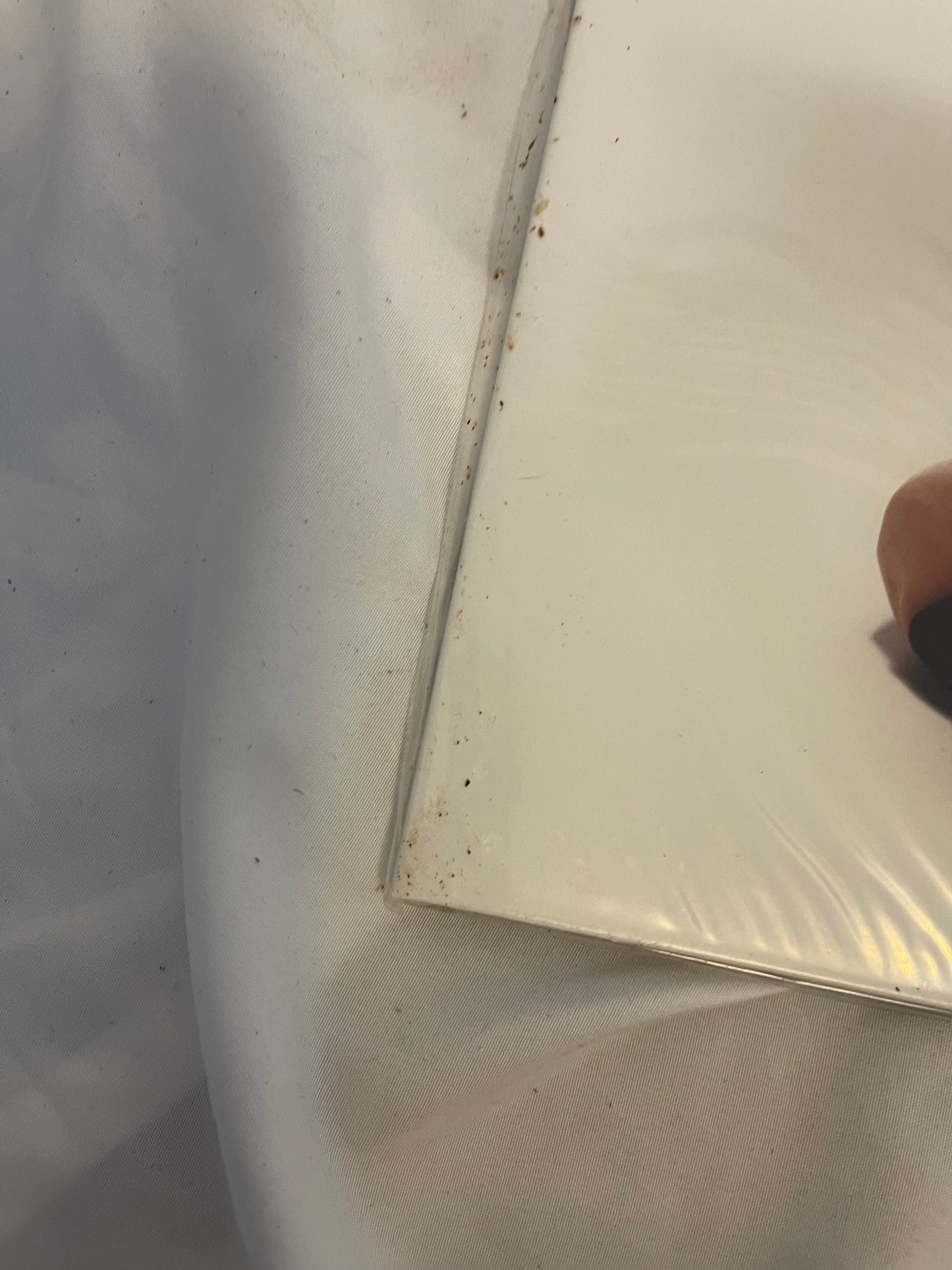 Poppy - Zig (Sumerian exclusive purple and mint green with heavy black splatter)